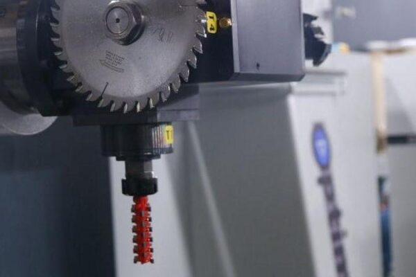 dscf9618-1668695513.518161 dscf9618-1668695513.518161